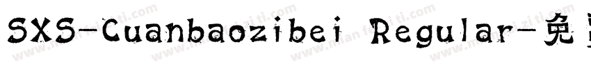 SXS-Cuanbaozibei Regular字体转换